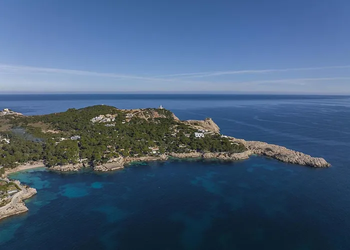 Bellavista Puerto 2a *